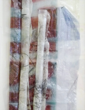 Spartina Alterniflora I