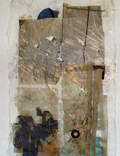 Spartina Refugia VIII